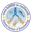NIB Logo
